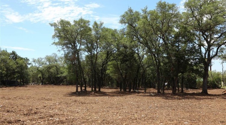 Comal County clean up